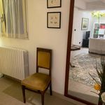Affitto 1 camera appartamento di 55 m² in Bologna