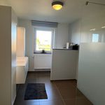 Rent 3 bedroom house in Leopoldsburg