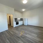 Rent 1 bedroom apartment of 28 m² in Olomouc