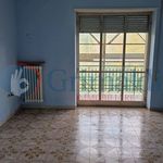 Affitto 4 camera appartamento di 100 m² in Villa Santa Lucia