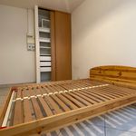Appartement de 38 m² avec 2 chambre(s) en location à Grenoble