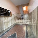 Rent 4 bedroom apartment of 100 m² in Foggia