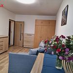 Rent 1 bedroom apartment of 34 m² in Most