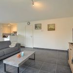 Rent 1 bedroom apartment in Oudenburg