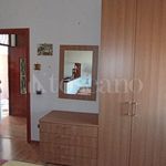 Rent 3 bedroom house of 45 m² in Frosinone
