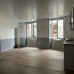 Rent 1 bedroom apartment of 60 m² in Rive-de-Gier