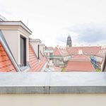 Rent 3 bedroom apartment of 70 m² in Dresden