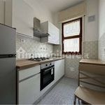 Affitto 4 camera appartamento di 110 m² in Camaiore