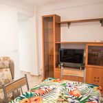 Rent 3 bedroom apartment of 71 m² in València