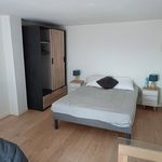 Rent 2 bedroom apartment of 30 m² in SUR LOIRE