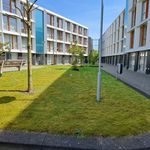 Rent a room of 22 m² in Breda