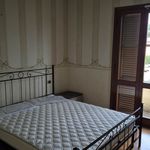 Affitto 8 camera appartamento di 182 m² in Santa Croce sull'Arno
