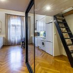 Rent 1 bedroom apartment of 45 m² in Praha