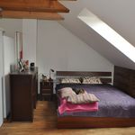 Rent 6 bedroom house of 257 m² in Warszawa