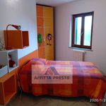 Rent 3 bedroom house of 100 m² in Pisa