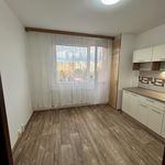 Rent 1 bedroom apartment of 39 m² in Pilsen