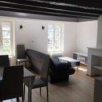 Rent 1 bedroom apartment of 41 m² in Metz