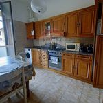 Affitto 1 camera appartamento di 20 m² in Bologna