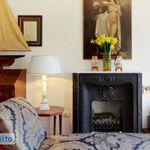 Rent 5 bedroom apartment of 150 m² in Florence