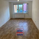 Rent 1 bedroom apartment of 31 m² in České Budějovice