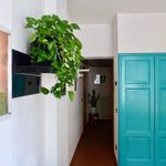 Rent 1 bedroom apartment of 55 m² in Parma