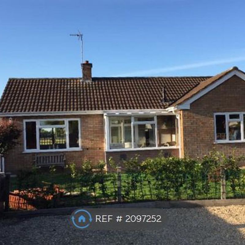 Bungalow to rent in Russell Drive, Eckington Pershore WR10