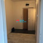 Rent 1 bedroom apartment in Orlová