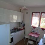 Rent 4 bedroom apartment of 74 m² in Limoges