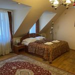 Rent 3 bedroom apartment of 110 m² in Plzeň
