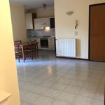 Rent 2 bedroom apartment of 60 m² in Pontedera