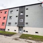 Rent 1 bedroom apartment of 50 m² in Ostrava