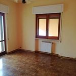 Rent 3 bedroom apartment of 90 m² in Enna