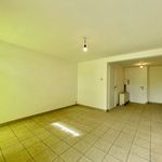 Rent 1 bedroom apartment in Kruisem