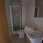 Rent 1 bedroom apartment of 30 m² in Opava