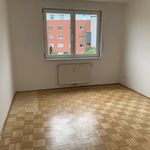 Rent 1 bedroom apartment of 48 m² in Villach