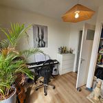Rent 3 bedroom apartment of 75 m² in Enschede