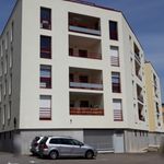 Rent 4 bedroom apartment of 81 m² in Oyonnax