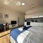 Rent 1 bedroom apartment of 35 m² in Wiesbaden