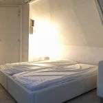 Rent 1 bedroom apartment of 25 m² in Metz