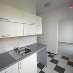 Rent 1 bedroom apartment of 30 m² in Příbor