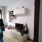 Rent 3 bedroom apartment of 89 m² in Novara