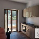 Rent a room of 308 m² in Palaia Fokaia