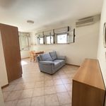Affitto 1 camera appartamento di 45 m² in Suzzara