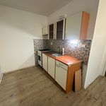 Rent 1 bedroom apartment of 51 m² in Bílina