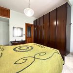 Affitto 2 camera appartamento di 140 m² in Catanzaro