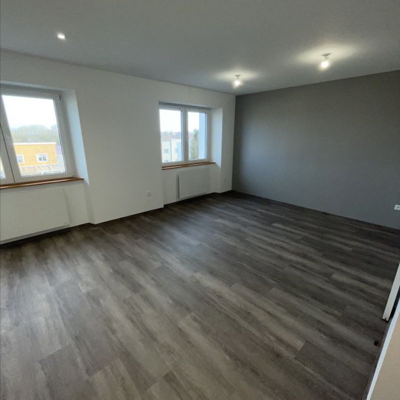 ▷ Appartement à louer • Mont-Saint-Martin • 52 m² • 880 € | immoRegion