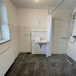Rent 1 bedroom apartment of 33 m² in Nuremberg