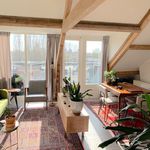 Rent 1 bedroom apartment of 60 m² in Utrecht
