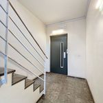 Rent 2 bedroom apartment of 114 m² in Waregem