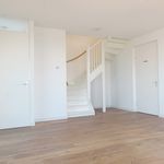 Rent 4 bedroom apartment of 155 m² in Amersfoort